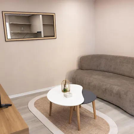 Luxury Center - Free Parking Apartment Tirana